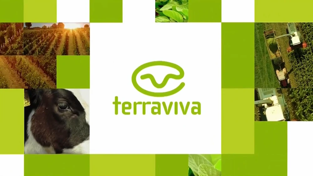 Assistir Terra Viva ao vivo em HD Online