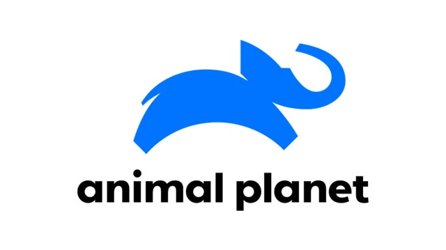 Assistir Animal Planet ao vivo em HD Online